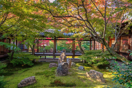 Kenninji temple wooden hall walkway by colorful autumn leaf garden in December, Kyoto, Japan. Famous travel destination in Kansai especially in fall season.の写真素材