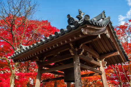 bell wood tower against colorful red maple leaf in autumn at Jojakkoji temple, Arashiyama, Kyoto,...