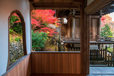 Nisonin temple hall with autumn foliage garden in December, Arashiyama, Kyoto, Japan. Famous travel destination for tourist sightseeing garden of Kansai in fall season.の写真素材
