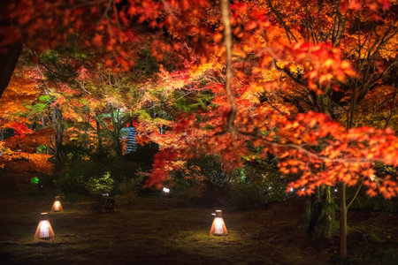 lantern light up at autumn garden by stone pagoda at Hogonin temple, Arashiyama, Kyoto, Japan. Famou...