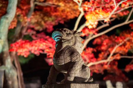 Stone lion statue with blur autumn foliage color light up at Hogonin temple garden, Arashiyama, Japan. Travel destination for tourist sightseeing of Kansai in fall season.の写真素材