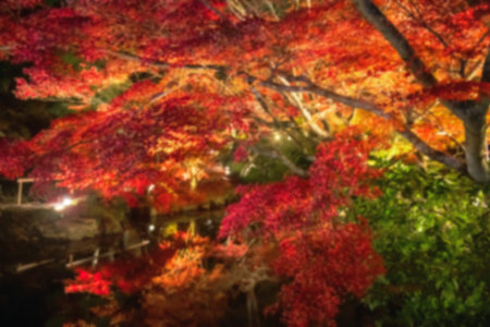Defocused image of colorful autumn leaf light up by pond at Kurodani Konkai Komyo-ji temple, Kyoto,...