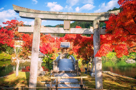 Torii gate and bridge across Hojo pond to shrine with colorful autumn maple leaf of Eikando Zenrinji...