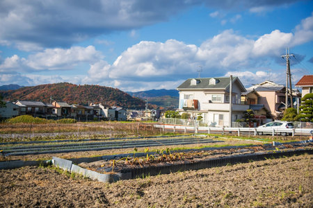 Little farm to plant vegetable by Japanese local village on mountain in autumn against blue sky in Sakyo Ward, Kyoto, Japan. Agriculture industryの写真素材