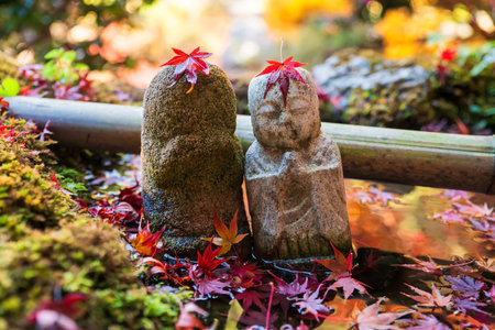 Jizu Buddha statue with red maple leaf on head in water basin at Bishamondo temple autumn garden, Kyoto, Japan. Famous travel destination for tourists in Kansai on peak fall in December.の写真素材