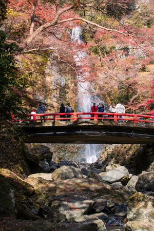 Japanese people on bridge view beautiful Minoh waterfall with colorful autumn maple leaf, Osaka,...