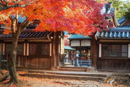 Red maple leaves at Tamukeyama Hachimangu Shrine gate entrance in autumn, Nara, Japan. Famous travel destination for sightseeing Kansai to see deer at fall in December.の写真素材