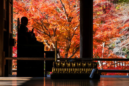 Silhouette Buddha statue with hand gesture in Hasedera temple hall with red autumn foliage color,...