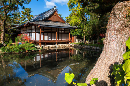 Sumiyoshi Taisha Saikan reflected in the pond against blue sky in autumn, Osaka, Japan. Famous...
