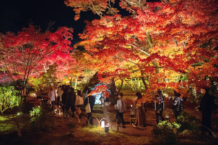 Tourist people on walking trail to view maple leaf tunnel of autumn night illumination, Hogonin...