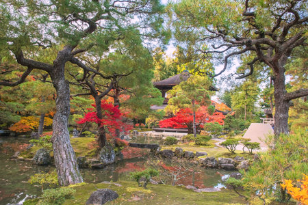 Silver Pavilion of Ginkakuji temple with colorful autumn foliage garden, Kyoto, Japan. travel...