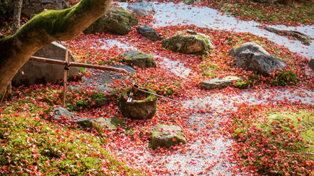 Bamboo water to wooden dipper on rock basin with red fallen maple leaves at Eikan-do Zenrinji temple garden at autumn, Kyoto, Japan. travel destination for tourist sightseeing Kansai in fall.の写真素材