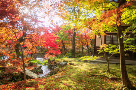Beautiful autumn maple tree colors of Eikan-do Zenrinji garden at sunset, Kyoto, Japan. Famous...