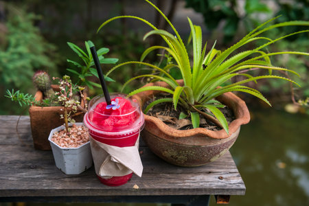 Fresh watermelon juice smoothie on wooden table by flower pot of outdoor cafe and restaurant.の写真素材