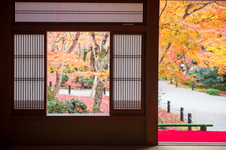 Japanese autumn foliage garden view from Enkoji temple window and terrace, Kyoto, Japan. travel destination of Rinzai Zen Buddhist sects for tourist sightseeing Kansai in fall.の写真素材