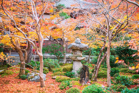 Stone lantern at Enkoji temple garden with autumn foliage colors in December, Kyoto, Japan. Famous travel destination of Rinzai Zen Buddhist sects in Kansai at fall.の写真素材
