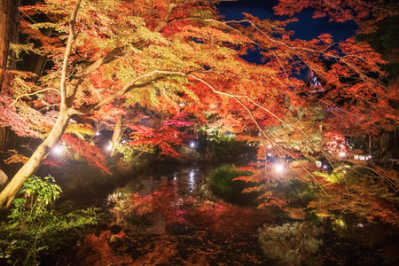 Maple tree tunnel light up along pond with skyline reflection at Kurodani Konkai Komyoji temple, Kyoto, Japan. travel destination for tourist sightseeing Kansai for fall illusion.の写真素材