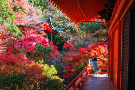 Tourist woman on Bishamondo temple terrace photograph colorful autumn foliage garden and pagoda,...