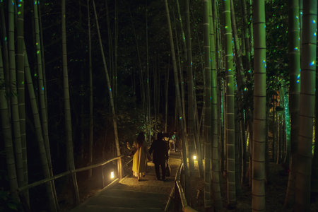 Tourist people walk on Bamboo grove light up route in autumn, Kyoto, Japan. Famous travel destination especially for fall illumination illusion in Kansai.の写真素材