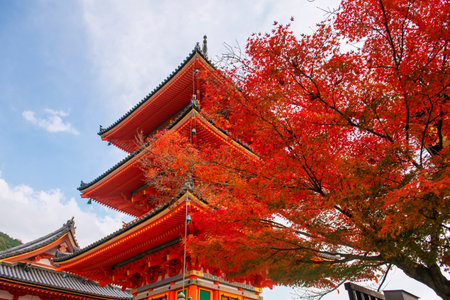 Orange iconic pagoda by red maple leaf of Kiyomizu-dera temple against blue sky in autumn, Kyoto, Japan. Famous travel destination to sightseeing Kansai in fall season.の写真素材