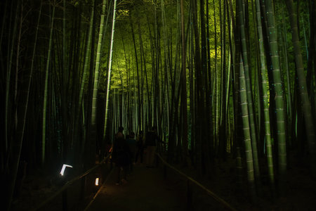 Silhouette tourist people visit Bamboo grove light up at night in autumn, Kodai-ji temple, Kyoto, Japan. Famous travel destination especially for fall illumination in Kansai.の写真素材