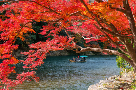 tourist people in punting wood boat along river view red autumn maple leaf at Arashiyama, Kyoto, Japan. Famous travel destination in Kansai especially on Fall and spring season.の写真素材