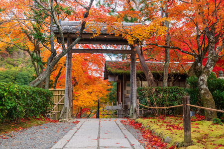Adashino Nenbutsuji temple entrance with autumn maple foliage colors, Arashiyama, Kyoto, Japan. Famous travel destination for tourist sightseeing garden of Kansai in fall season.の写真素材