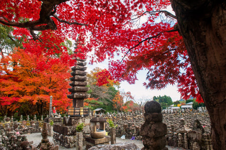 pagoda in graveyard with colorful autumn maple leaf at Adashino Nenbutsuji temple, Arashiyama, Kyoto, Japan. Famous travel destination for tourist sightseeing garden of Kansai in fall season.の写真素材