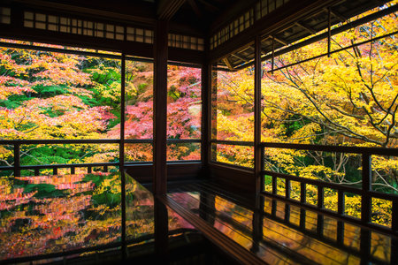 Colorful fall maple leaves by window with reflection on wooden table of Ruriko-in temple, Kyoto,...