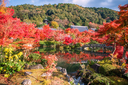 Beautiful autumn leaf garden with skyline reflection on pond of Eikan-do Zenrinji Temple, Kyoto, Japan. Famous travel destination for tourist sightseeing Kansai in fall season.の写真素材