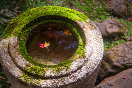 Red and yellow maple leaf float over water in rock basin at Eikando or Eikan-do Zenrinji temple...