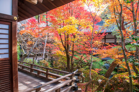 Eikan-do Zenrinji temple veranda with beautiful colorful foliage garden in autumn, Kyoto, Japan....