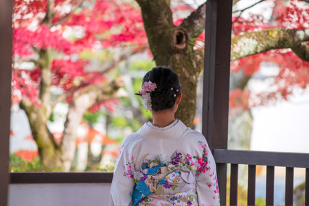 Japanese woman in white Kimono look at autumn maple leaf colors in Shinnyodo Temple, Kyoto, Japan....