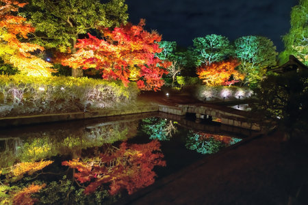 Bridge cross pond with beautiful autumn garden light up colors and skyline reflection at Toji temple, Kyoto, Japan. Famous travel destination for tourist sightseeing Kansai for fall illumination.の写真素材