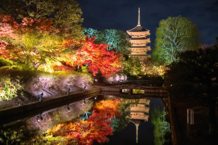 Toji five story pagoda light up with autumn maple foliage colors with reflection at night, Kyoto,...
