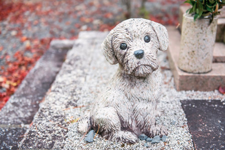 Cute dog statues decor in Enkoji temple at autumn with fallen red maple leaves, Kyoto, Japan. Famous travel destination of Rinzai Zen Buddhist sects in Kansai at fall.の写真素材