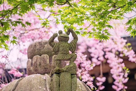 Frog statue on roof with green maple and pink cherry sakura blossom at Nyoirinji Temple, Ogori, Fukuoka, Japan. Travel destination for toad figure known as Kaeru dera,formal name Seieizan Nyoirin-jiの写真素材