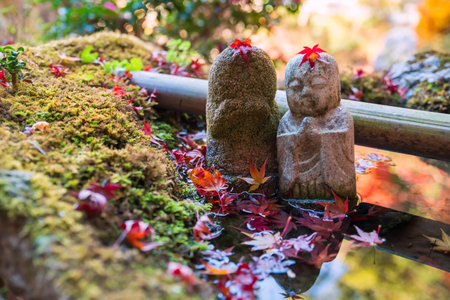 Jizu Buddha stone statue with fallen maple leaf on head in water basin at Bishamondo temple autumn garden, Kyoto, Japan. travel destination for tourist in Kansai on peak fall in December.の写真素材