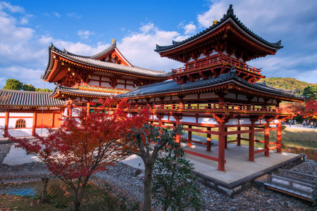 Phoenix Hall of Byodo-In temple World Heritage with colorful maple leaf and blue sky in autumn,Uji,Kyoto,Japan. Famous travel destination for tourist in Kansai on peak fall season in December.の写真素材