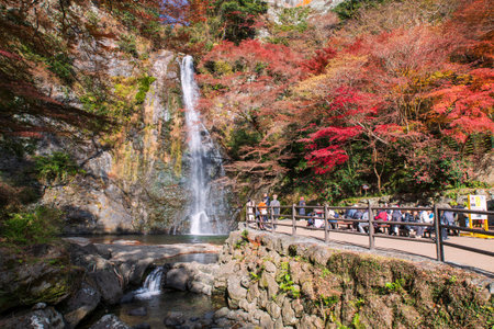 Osaka, Japan - Dec 10, 2024: Tourist people view beautiful Minoh waterfall with autumn foliage colors in Minoo park. Famous travel destination to sightseeing Kansai in fall.の写真素材