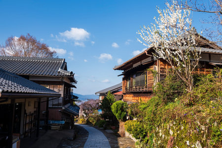Magome juku preserved town with white cherry blossom or sakura tree against blue sky at spring, Kiso...