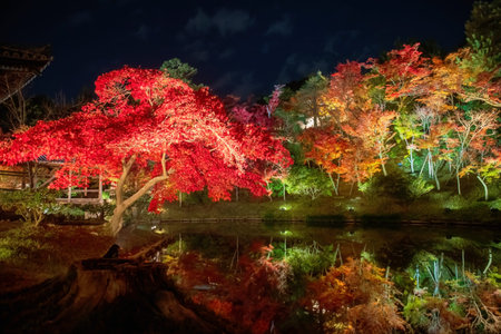 Colorful maple leaves illusion with skyline reflection on pond in autumn garden of Kodai-ji temple,...