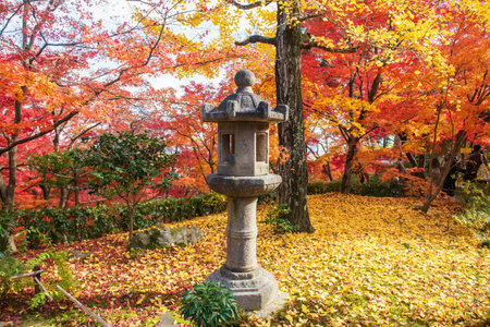 Stone lantern on garden with fallen yellow ginkgo and red autumn maple leaf at Ryoanji temple,...