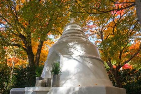White pagoda by autumn maple leaf colors at Ryoanji Temple garden, Kyoto, Japan. Famous travel...
