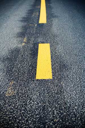 Road line on new asphalt