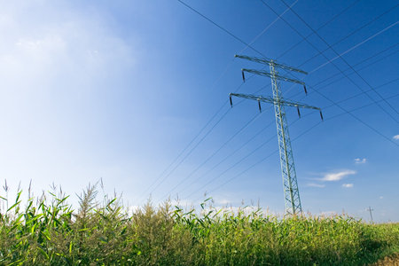 Electrical pylon, cables, wires and blue sky with corn field