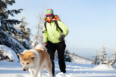 Woman hiking in winter mountains with akita dog. Female hiker walking on white snow with her dog friend, sport and recreation outdoors in nautre, Poland.の写真素材