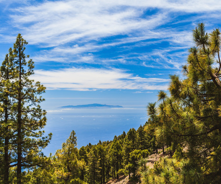 Island on the ocean beautiful landscape trees forest and mountains Canary Islands La Palma La Gomera Tenerifeの写真素材