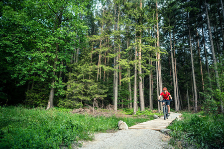Mountain biker riding on bike in spring inspirational mountains landscape.の写真素材