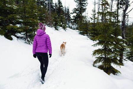 Woman hiking in white winter forest woods with akita dog. Recreation fitness and healthy lifestyle outdoors in nature. Motivation and inspirational winter landscape.の写真素材